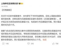 爱奇艺体育官网-申花考虑夏窗引进外援前锋，米内罗已基本赛季报销的简单介绍
