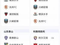 爱奇艺体育-C罗征战亚冠二！亚足联公布亚冠名单：中超4队，的简单介绍